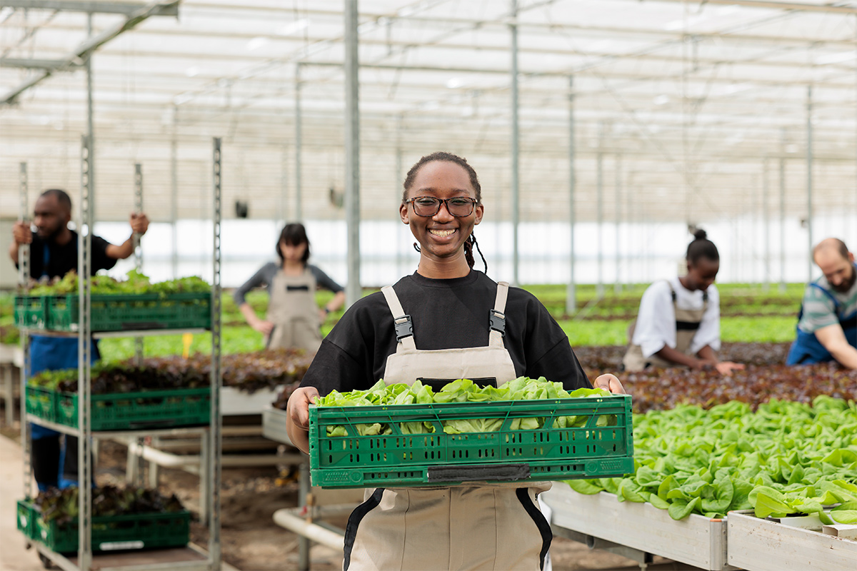 Innovation in Farming